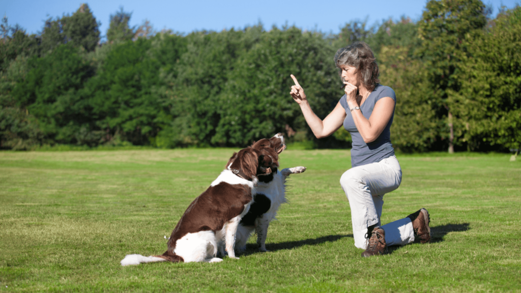 Online Dog Trainer