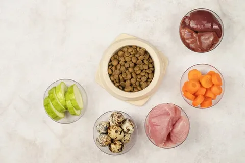 Homemade Pet Food